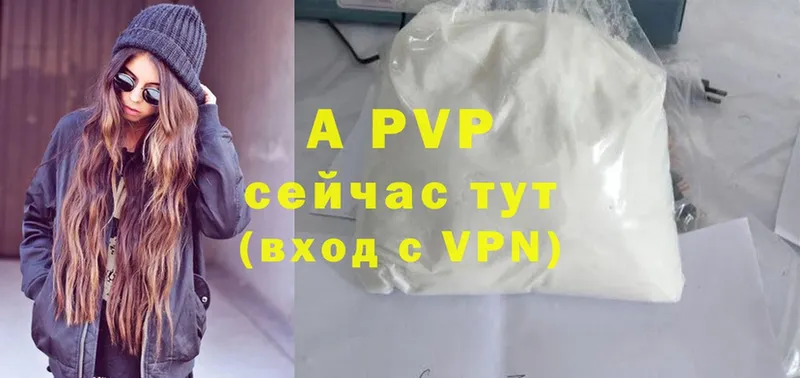 A PVP СК КРИС  Ивангород 